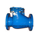 Cast Iron Swing Check Valves DIN3202 F6 Type a